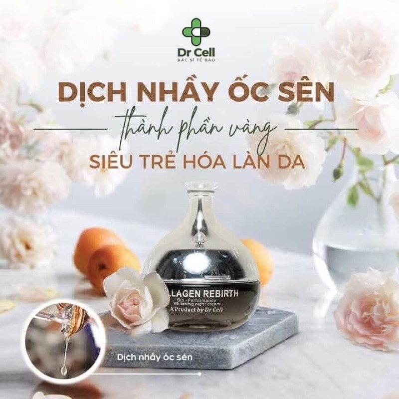 Kem Đêm Collagen Rebirth - Dr Cell