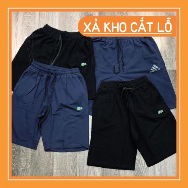 Quần Ngố nam cotton da cá chất siêu đẹp