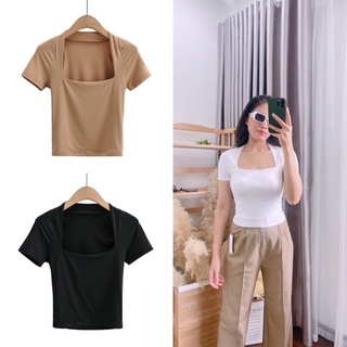 Áo thun cotton cổ vuông [ảnh thật]