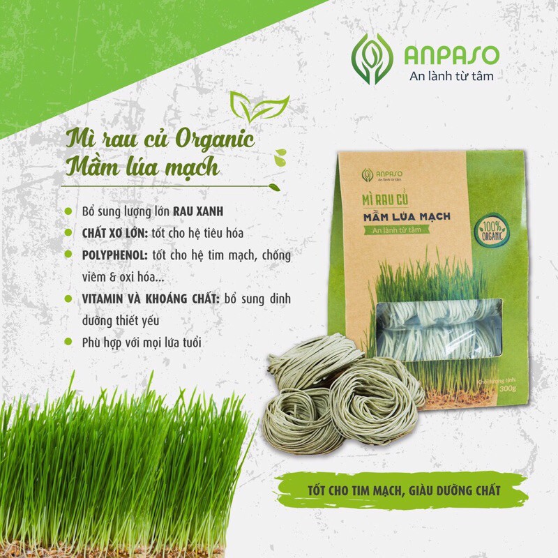 [Combo 3 loại mì hữu cơ] Mì rau cải bó xôi/rau sâm cát/lá mầm lúa mạch organic Anpaso 300gr/hộp