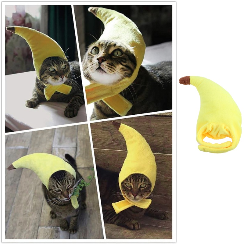 Mũ Đội May Mắn Dành Cho Thú Cưng Chó Mèo