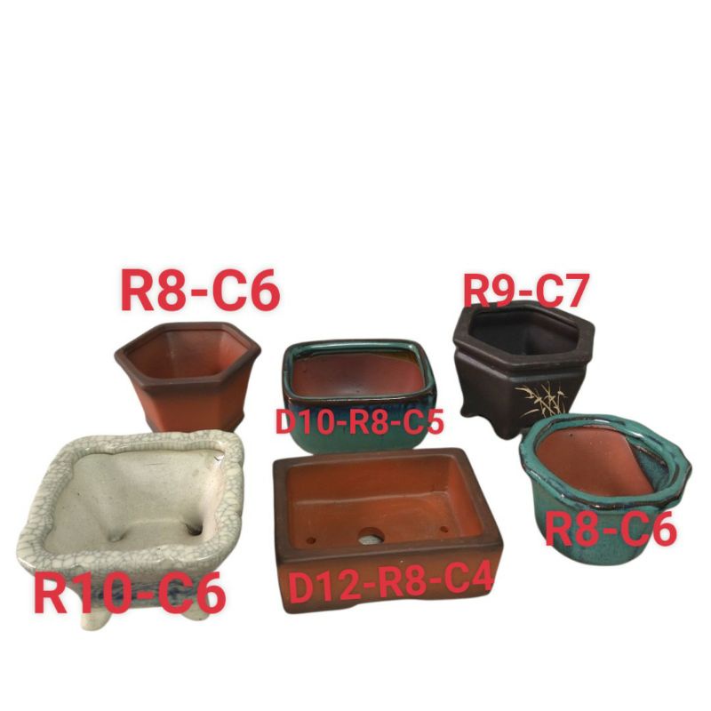COMBO CHẬU MINI 6 CÁI ( có thể thay đổi màu và mẫu tuỳ đợt hàng )