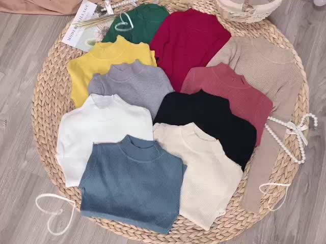 Áo Len Tăm Cổ 3P Giữ Nhiệt Cho Nữ, Áo Len Tăm Giữ Nhiệt nữ 12 Màu Cao Cấp M856 | BigBuy360 - bigbuy360.vn