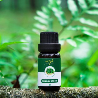 Tinh dầu bạc hà giải cảm, làm nước súc miệng