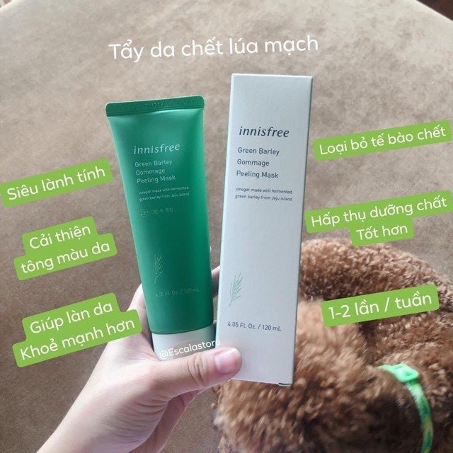 TẨY DA CHẾT LÚA MẠCH INNISFREE siêu lành tính và nhẹ dịu