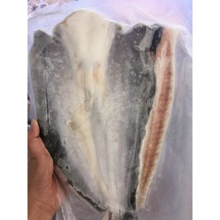 CÁ DỨA 1 NẮNG CẦN GIỜ (700gr-800gr)  (SHIP HCM-SIÊU TỐC)