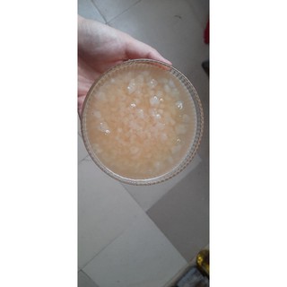 Nấm nước kefir- water kefir làm kefir nước dừa, đường & đồ uống có gas- KL 10g