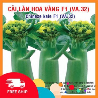 5gr hạt giống rau cải làn hoa vàng LUCKYVN
