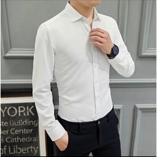 Sơ mi nam dài tay Pierre cardin xuất Hàn xịn chỉ dư màu trắng