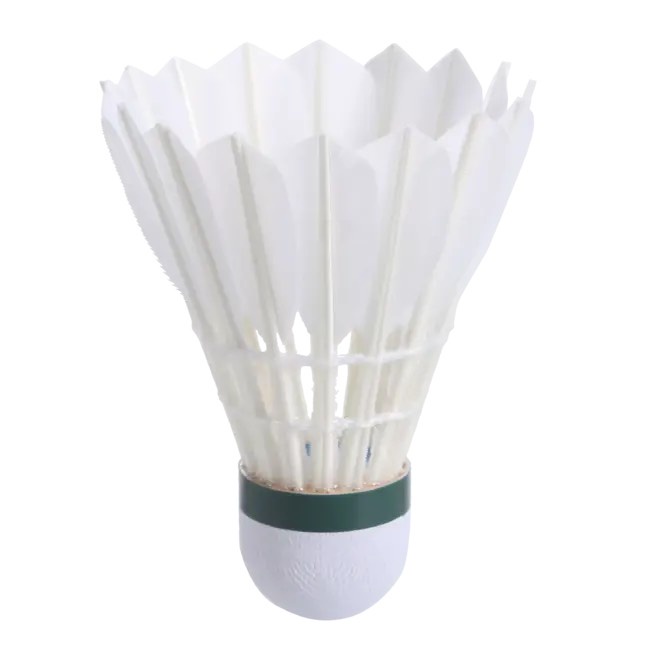 Hộp Cầu Lông 12 Quả FSC 560 SPEED 77 MIRILIK DECA
