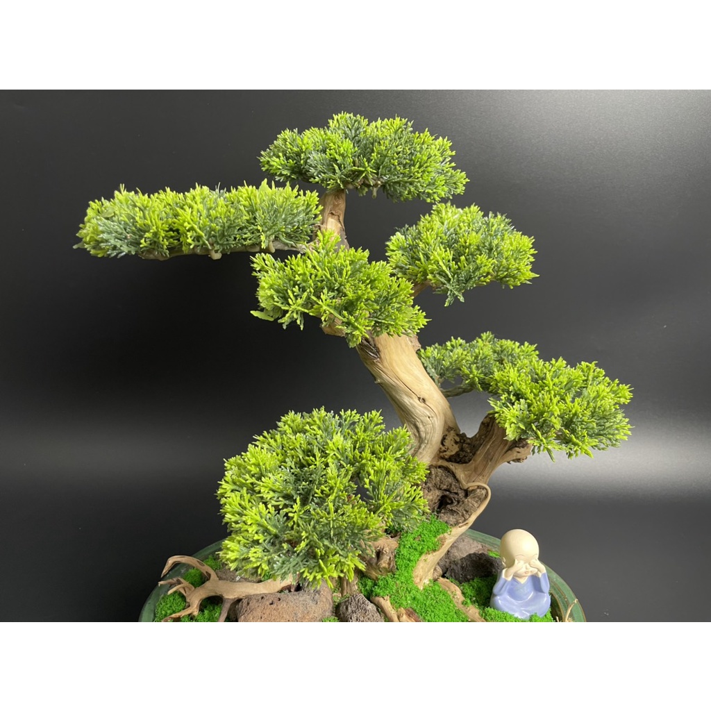 Lũa Bonsai, Lũa thủy sinh dùng trang trí hồ cá cảnh, hồ thủy sinh, văn phòng, nhà cửa