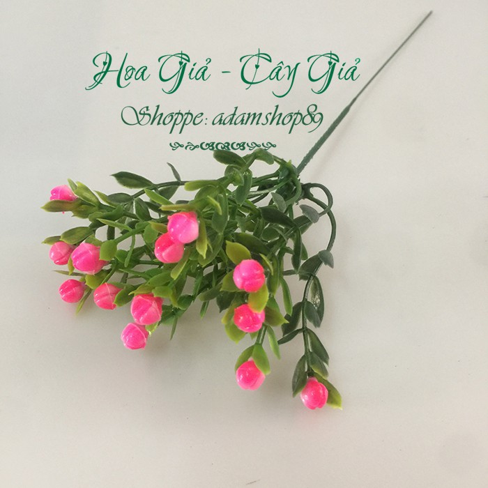 Hoa giả - Hoa Chiêm Điểm