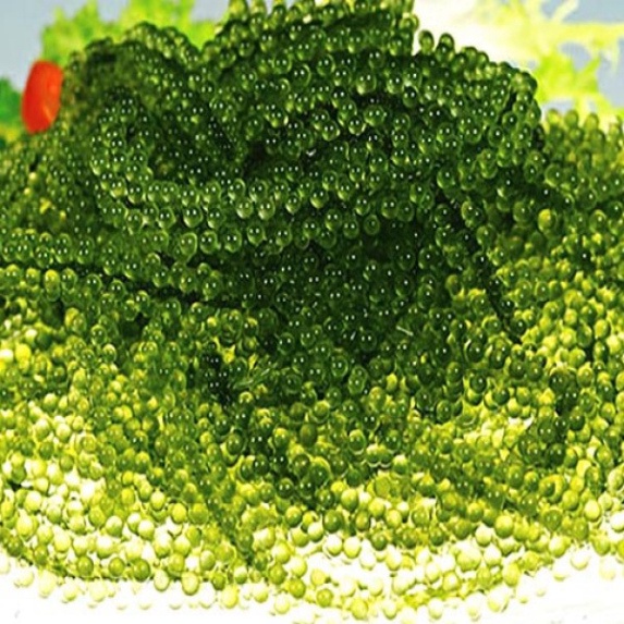[Quà tặng là dây cột tóc] Rong nho Green food gói 100 gram cam kết chính hãng nở ra rong tươi giòn ngon