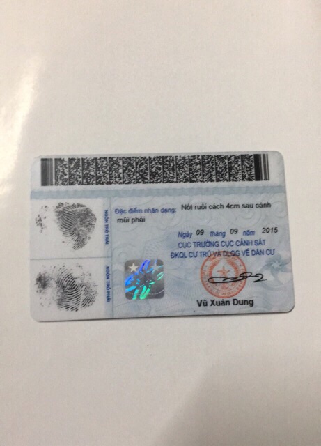 Lược bí chải chấy
