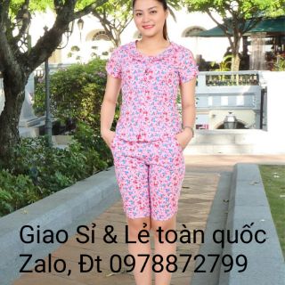 BỘ MARINO HỌA NHÍ