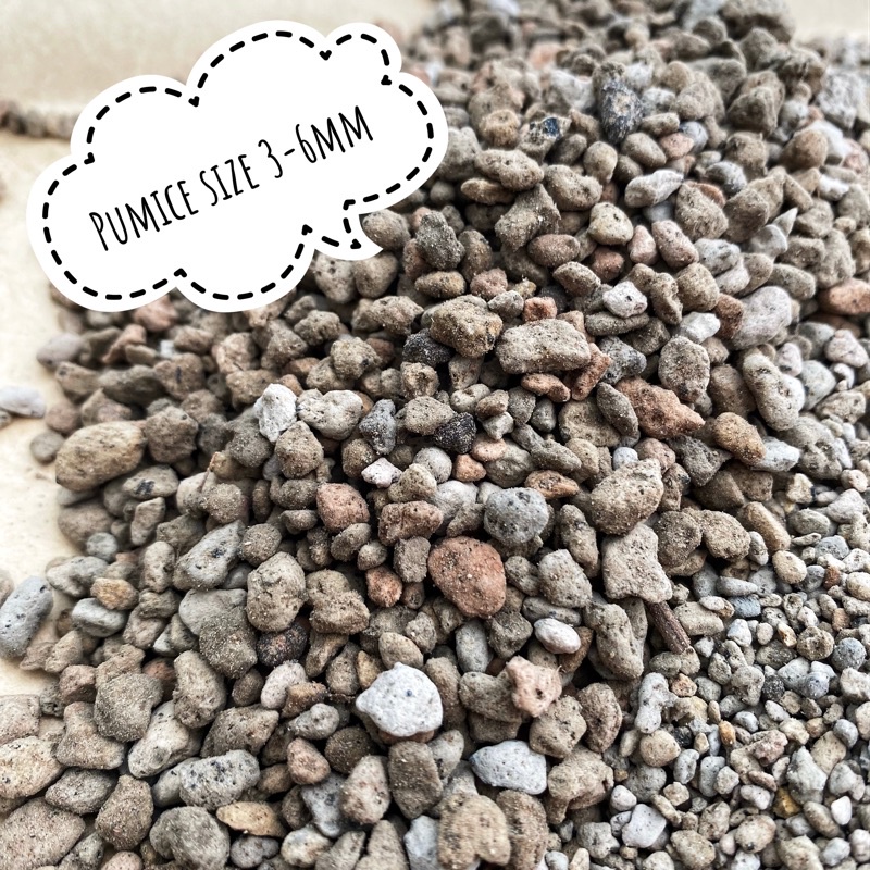 Đá pumice size 1-3, 3-6mm