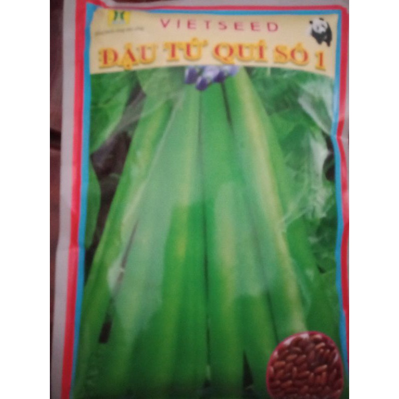 ĐỖ TỨ QUÝ 4 MÙA(trồng quoanh năm)