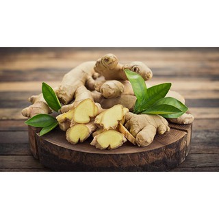Gừng Bột Vipep 500gr - Bỏ Sỉ
