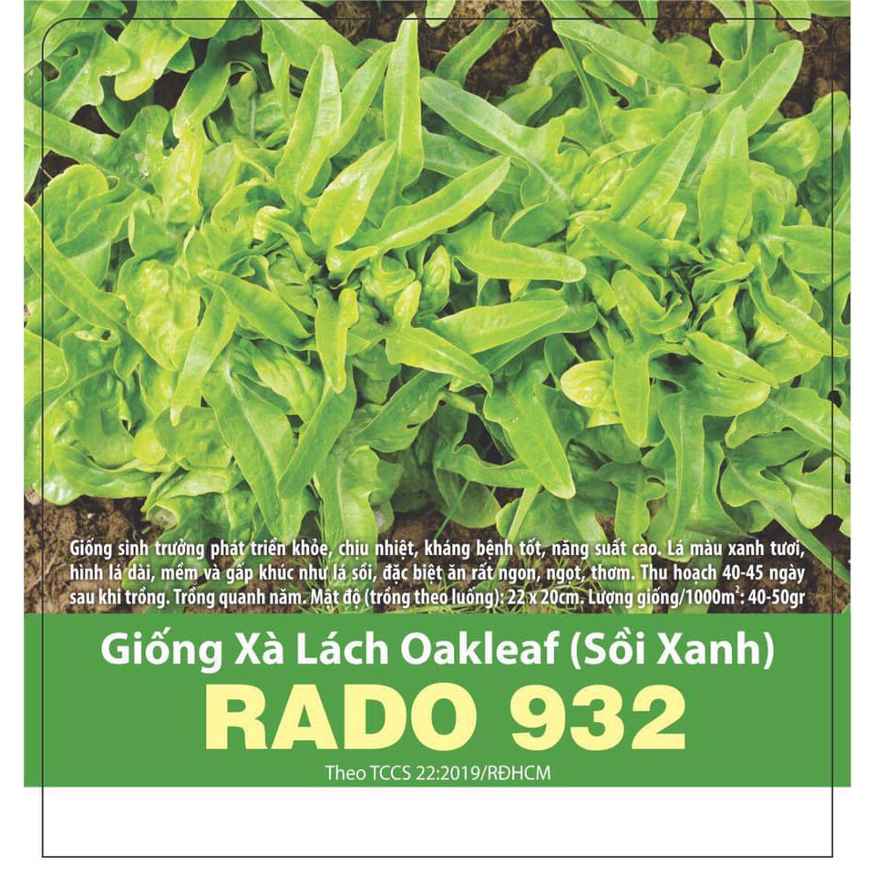 Hạt Giống Xà Lách Oakleaf Sồi Xanh