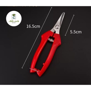 KÉO CẮT TỈA CÂY KÉO LÀM VƯỜN