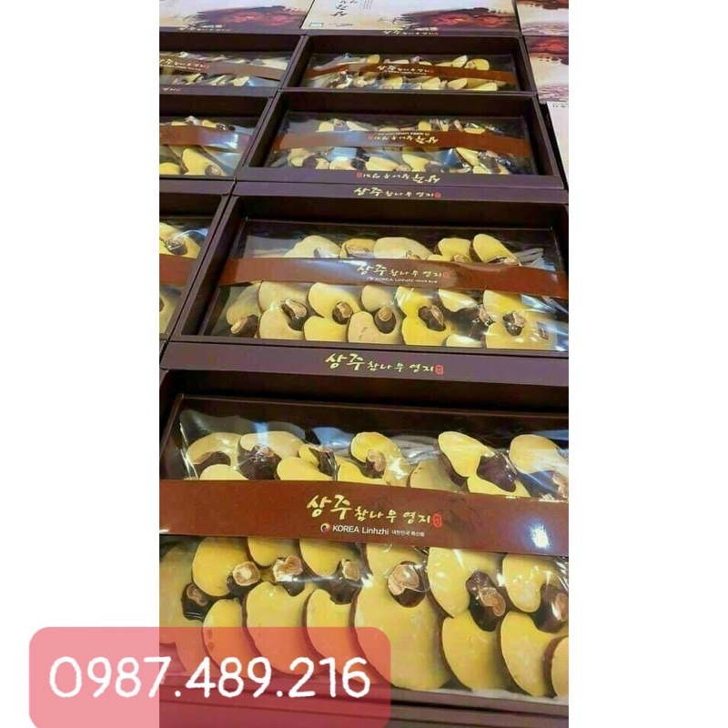 [SỈ TẬN GỐC ] Nấm Linh Chi SANGCHU Hàn Quốc (Hộp 1 kg) Quà siêu sang trọng