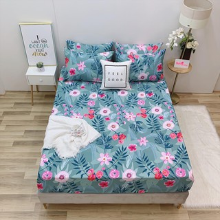 8.GA GỐI LẺ COTTON LỤA ( ảnh shop tự chụp 100%)
