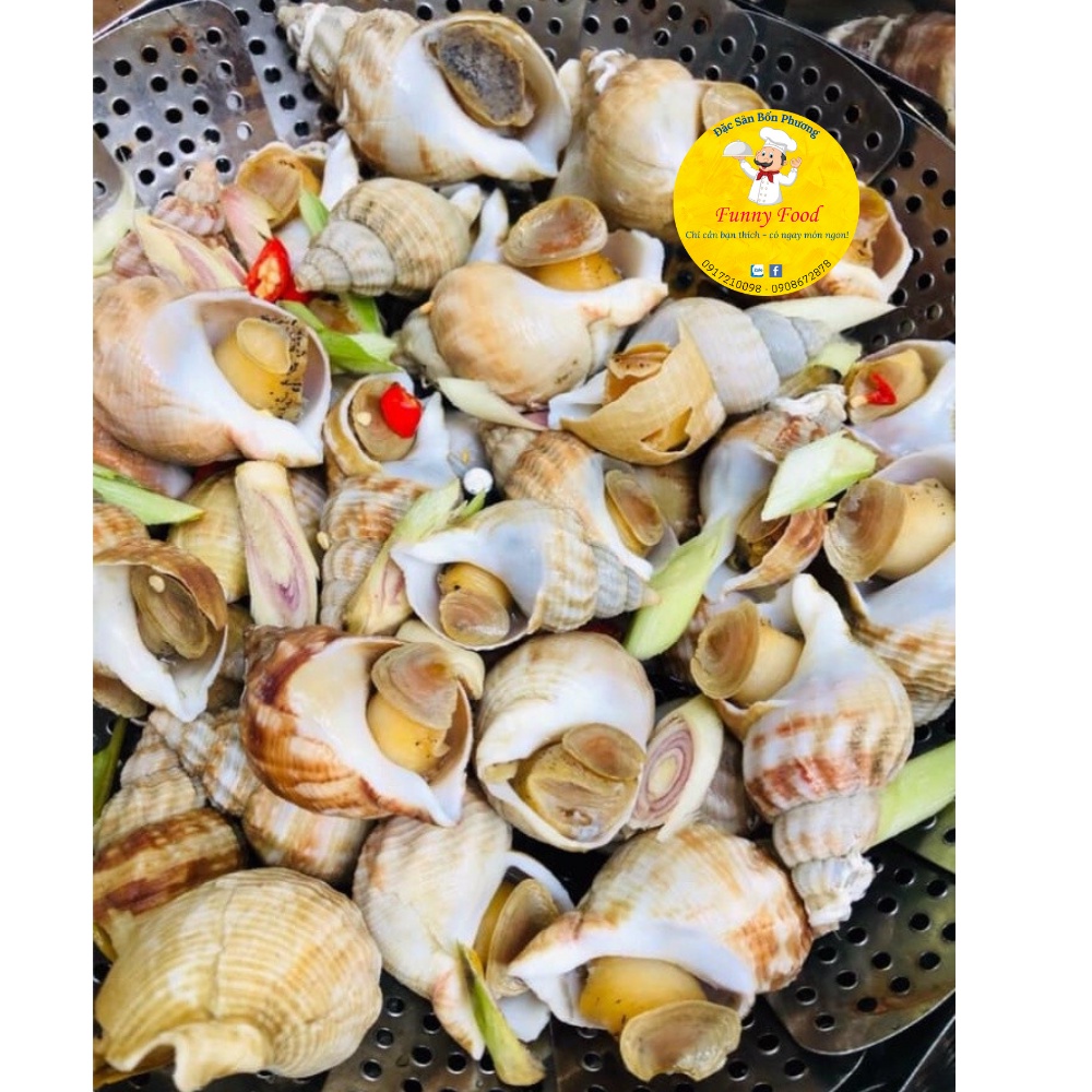 Ốc Bulot Pháp – Ốc Bulot Nhập Khẩu – [Ship Hỏa Tốc HCM] – Funnyfood