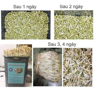 Np máy làm giá đỗ sạch đa năng đt - 103