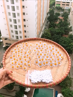 Set cúc Tana