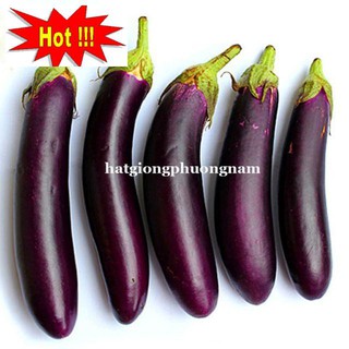 Hạt giống cà tím dài f1 1gram