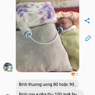10 núm Bình gấu