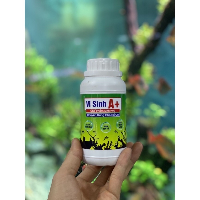 Men Vi Sinh A+ Cho Hồ Cá Thuỷ Sinh