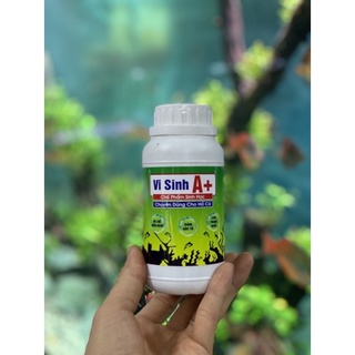 Men vi sinh a+ cho hồ cá thuỷ sinh