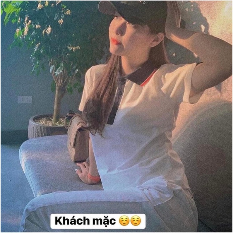 Áo cổ đức cá sấu