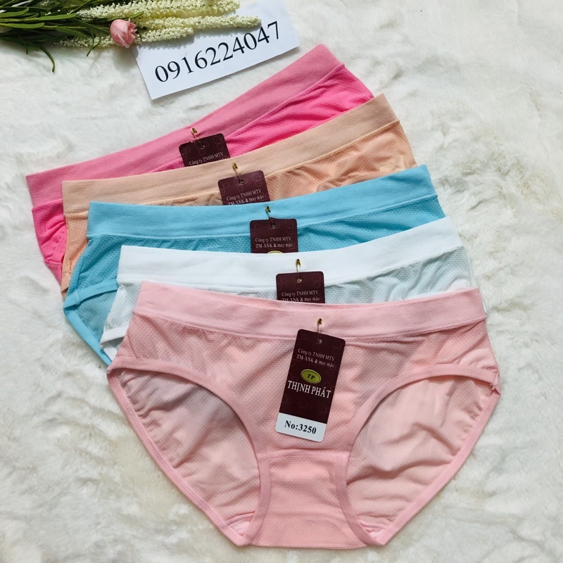 Set 5 Quần lót nữ Thịnh Phát thông hơi cực êm, quần chíp nữ lưng dệt chất đẹp