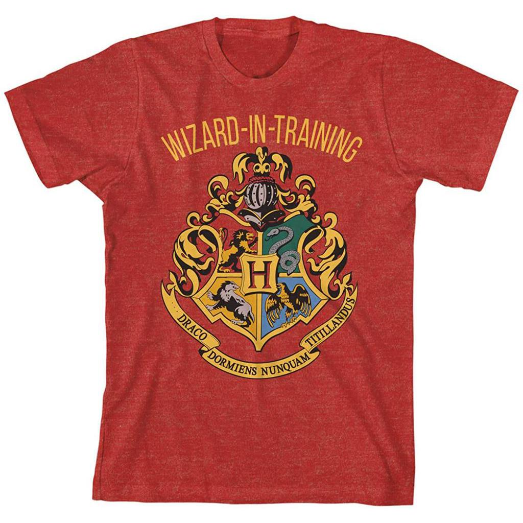Áo Thun Tay Ngắn In Hình HARRY POTTER Cho Bé Trai