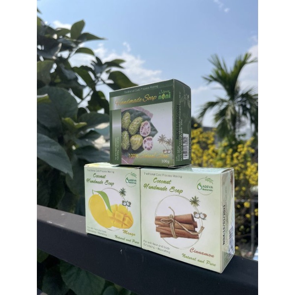 🎟️Combo Massage chùm ngây cho da dầu-mụn Adeva Noni⚡FREESHIP XTRA🎁 | BigBuy360 - bigbuy360.vn