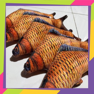 Đồ chơi chó mèo hình cá 3d , đồ chơi nhồi bông