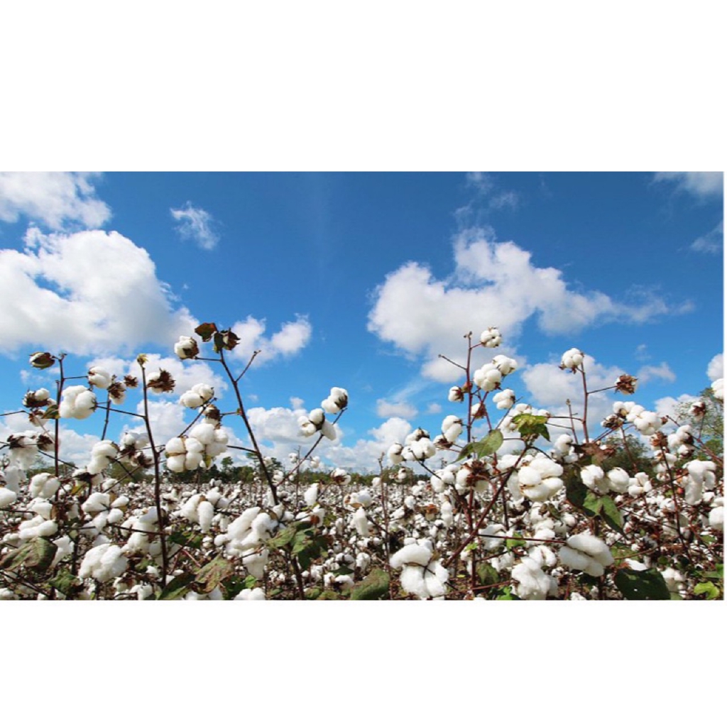 SET ĐỒ SƠ SINH QUÀ TẶNG CHO BÉ, QUÀ TẶNG SƠ SINH 100% cotton cao cấp xuất Hàn 18.21.24.26 chi tiết