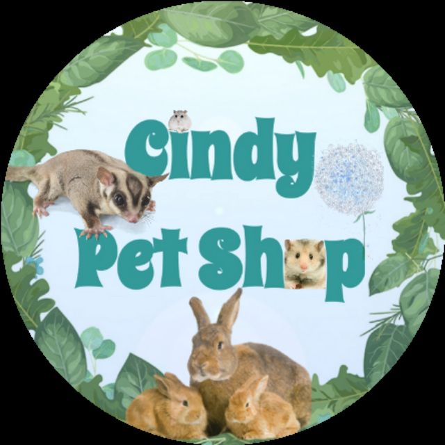 CINDY PET SHOP