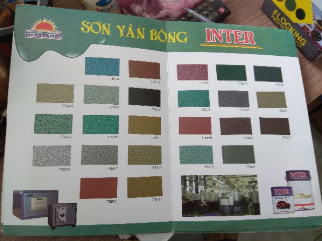 SƠN VÂN BÔNG INTER