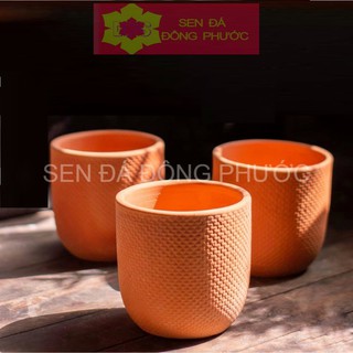 CHẬU ĐẤT NUNG HÌNH DA RẮN DẠNG TRỨNG chậu trồng tiểu cảnh sen đá, xương rồng, cây phong thuỷ văn phòng đẹp