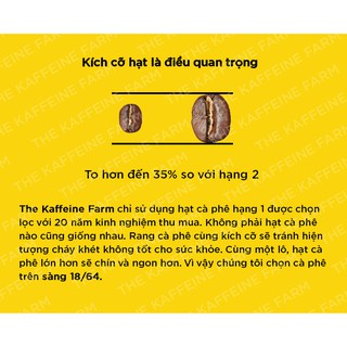 [500g] Cà phê Robusta bột xay sẵn - The Kaffeine Farm