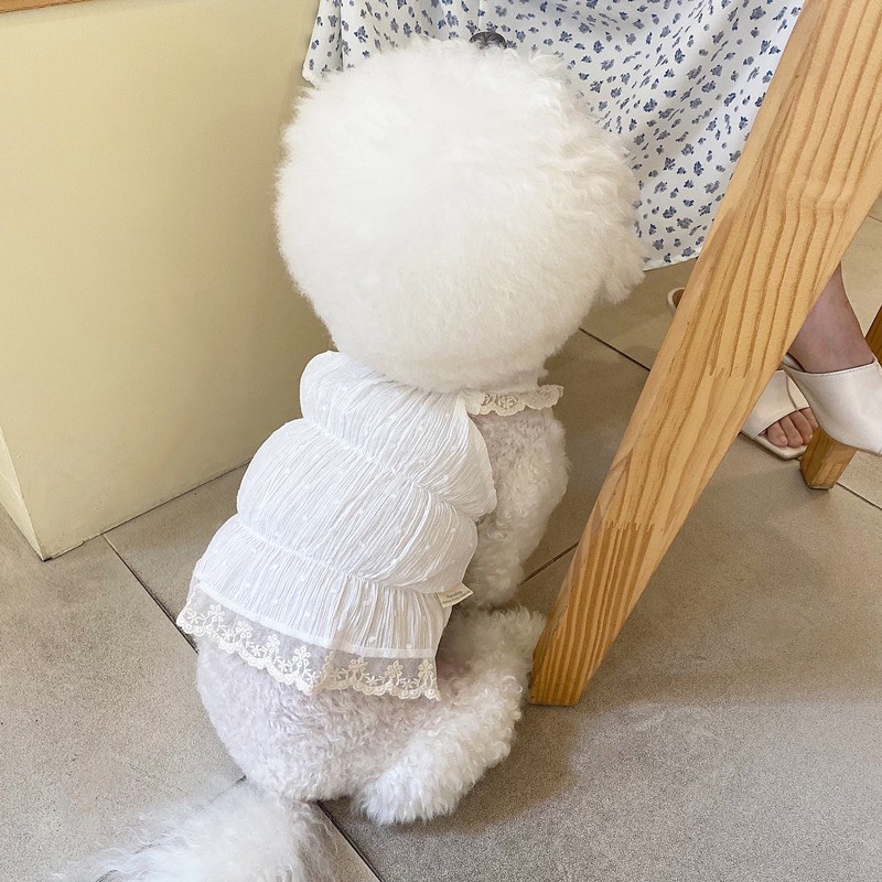 Áo hai dây trơn viền ren dành cho thú cưng