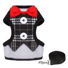 Bộ Dây Dắt Và Yếm Cho Thú Cưng