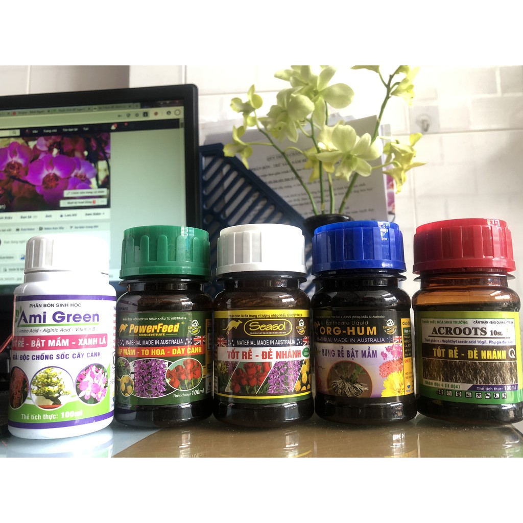 Bộ Phân Thuốc Mập Thân Mập Rễ