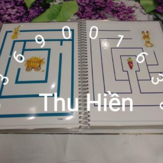 Học liệu trò chơi mê cung