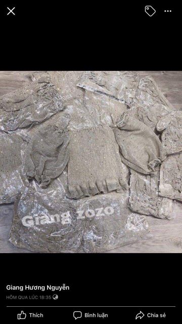 Áo kim sa bẹt vai