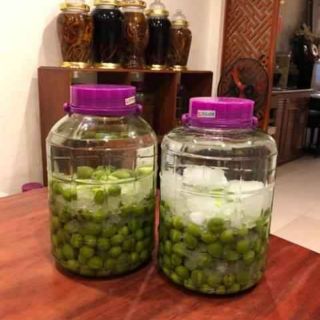 Cây mơ xanh