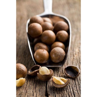 Hạt Macadamia Nứt Vỏ - Lâm Đồng 100% Organic